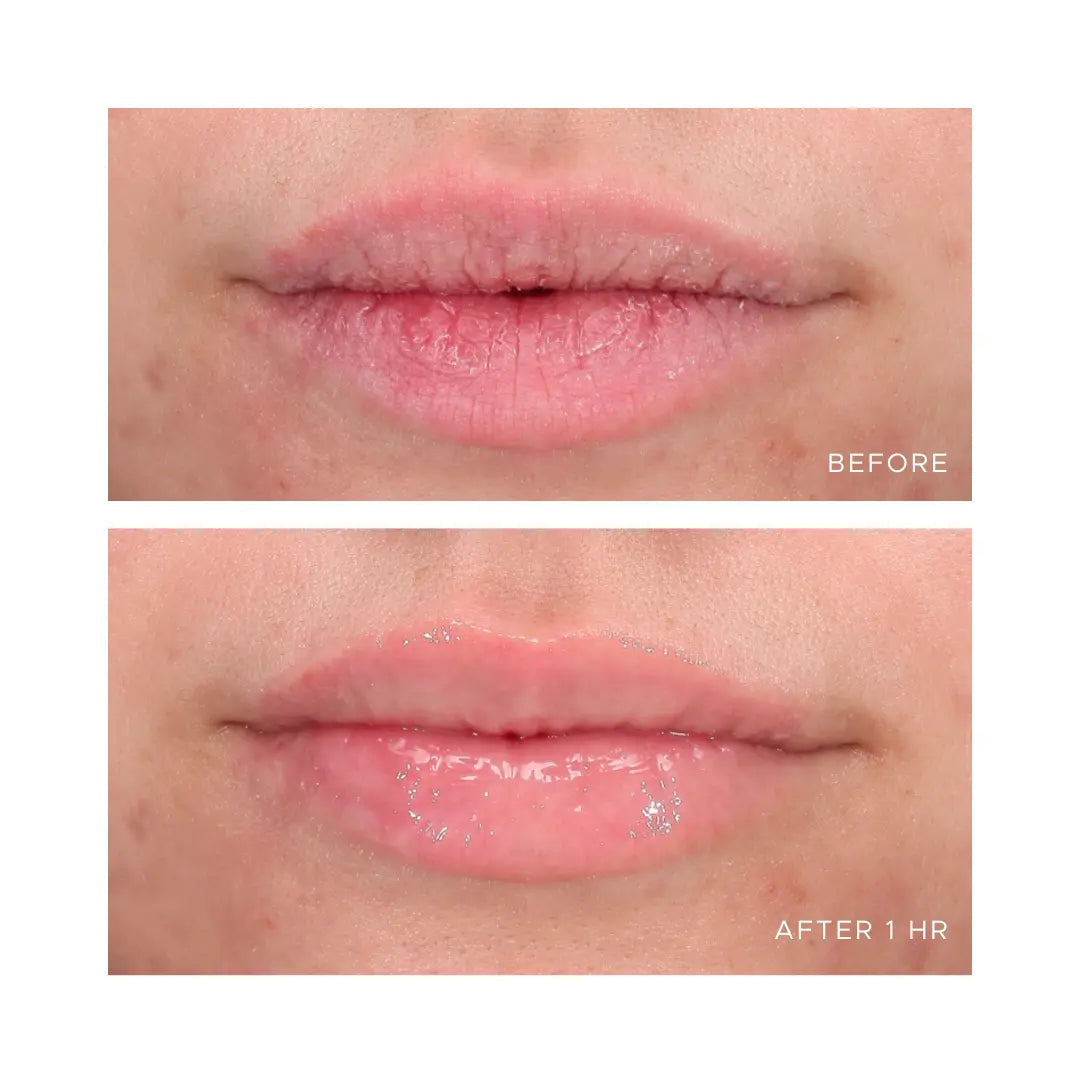 ÂN-GLOSS Ceramide Lip Treatment
